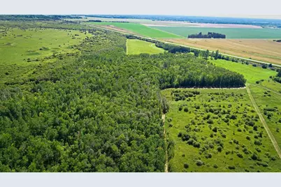 39090 State Highway 313, Warroad, MN 56763 - Photo 50