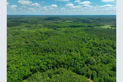 Tbd Sago 5, Swan River, MN 55784 - Photo 20