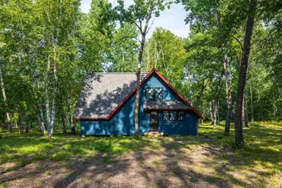 Tbd Forest Pines Drive, Nevis, MN 56470 - Photo 2