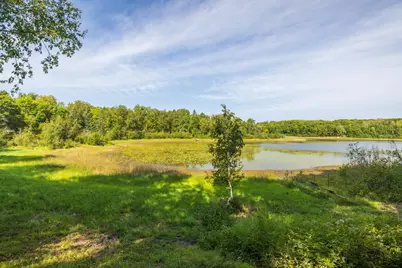 Tbd Forest Pines Drive, Nevis, MN 56470 - Photo 12
