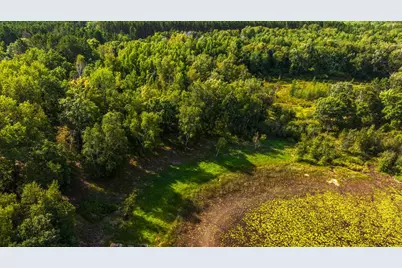 Tbd Forest Pines Drive, Nevis, MN 56470 - Photo 16