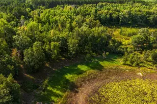 Tbd Forest Pines Dr, Nevis, MN 56470 - Photo 16