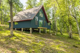 Tbd Forest Pines Dr, Nevis, MN 56470 - Photo 4