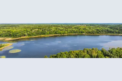 Tbd Forest Pines Drive, Nevis, MN 56470 - Photo 14