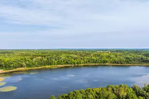 Tbd Forest Pines Dr, Nevis, MN 56470 - Photo 14