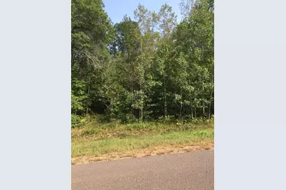 Lot 30 Shady Lane, Siren, WI 54872 - Photo 1