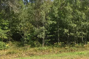 Lot 32 Shady Ln, Siren, WI 54872 - Photo 1