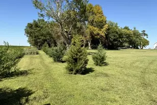 54299 910th St, Windom, MN 56101 - Photo 30