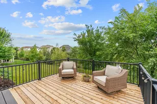 3006 Wild Flower Trail, Medina, MN 55340 - Photo 14