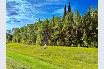 Tbd State Highway 11, Loman, MN 56654 - Photo 44