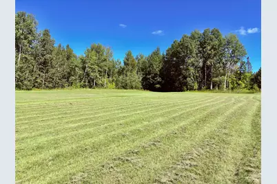 Tbd State Highway 11, Loman, MN 56654 - Photo 40