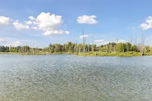 9578 8th St N, Lake Elmo, MN 55042 - Photo 58