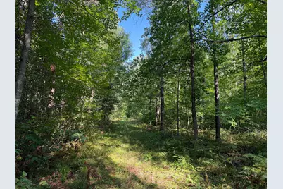 Tbd Klice Road, Willow River, MN 55795 - Photo 2