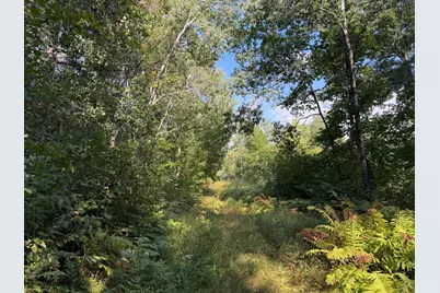 Tbd Klice Road, Willow River, MN 55795 - Photo 1