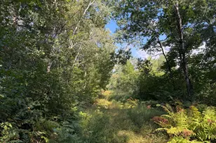 Tbd Klice Rd, Willow River, MN 55795 - Photo 1