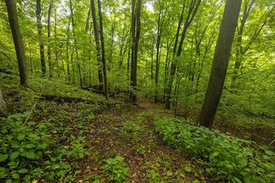 0 110th Street, Spring Valley, WI 54767 - Photo 40