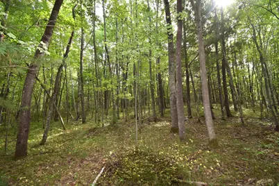 28206 Pardun Road, Danbury, WI 54830 - Photo 22