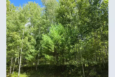 7183 Fremsted Road, Danbury, WI 54830 - Photo 8