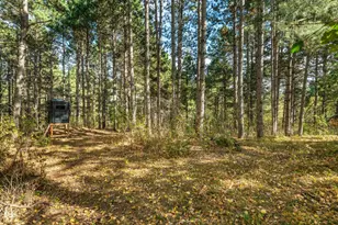 Tbd Rocky Ridge Rd, Henning, MN 56551 - Photo 1