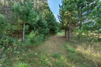 Tbd Rocky Ridge Road, Henning, MN 56551 - Photo 8