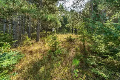 Tbd Rocky Ridge Road, Henning, MN 56551 - Photo 4