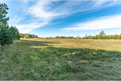 Tbd Rocky Ridge Road, Henning, MN 56551 - Photo 12