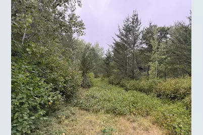 Tbd 189th Avenue, Menahga, MN 56464 - Photo 64