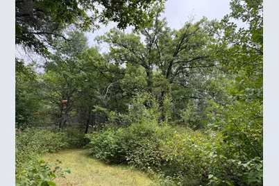 Tbd 189th Avenue, Menahga, MN 56464 - Photo 48