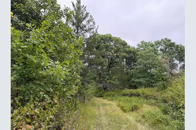 Tbd 189th Avenue, Menahga, MN 56464 - Photo 44