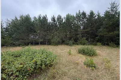 Tbd 189th Avenue, Menahga, MN 56464 - Photo 66