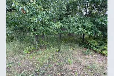 Tbd 189th Avenue, Menahga, MN 56464 - Photo 74