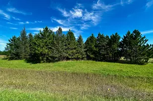 Tbd 560th, New York Mills, MN 56567 - Photo 1