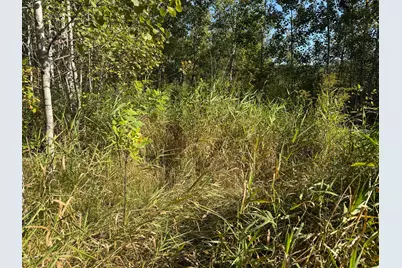Tbd 290th Street, Onamia, MN 56359 - Photo 88