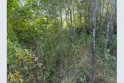 Tbd 290th Street, Onamia, MN 56359 - Photo 36