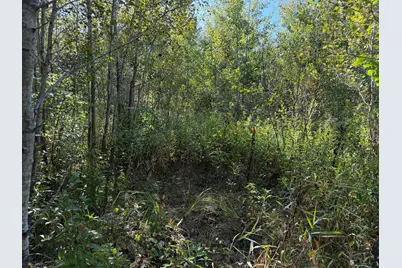 Tbd 290th Street, Onamia, MN 56359 - Photo 34