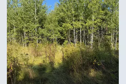 Tbd 290th Street, Onamia, MN 56359 - Photo 74