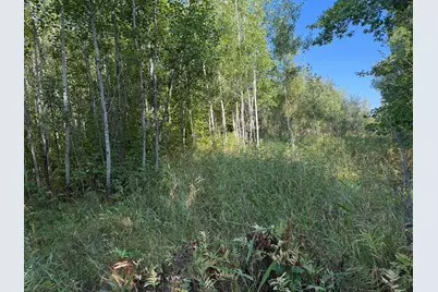 Tbd 290th Street, Onamia, MN 56359 - Photo 94