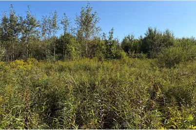 Tbd 290th Street, Onamia, MN 56359 - Photo 18