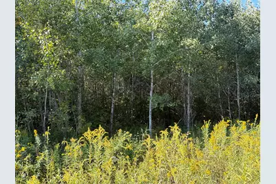 Tbd 290th Street, Onamia, MN 56359 - Photo 72