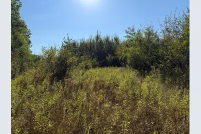 Tbd 290th Street, Onamia, MN 56359 - Photo 8