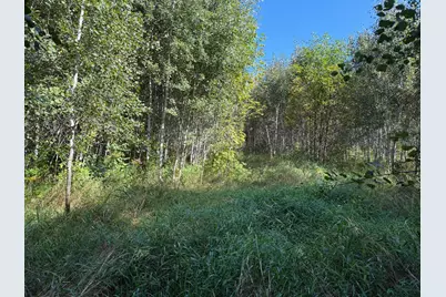 Tbd 290th Street, Onamia, MN 56359 - Photo 24