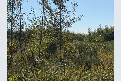Tbd 290th Street, Onamia, MN 56359 - Photo 76