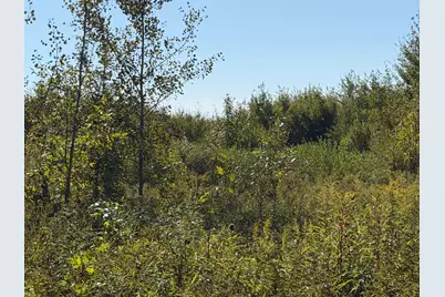 Tbd 290th Street, Onamia, MN 56359 - Photo 80