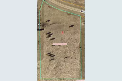 Tbd 394th St., Perham, MN 56573 - Photo 2