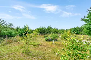 1156 Stoneback Trail NW, Backus, MN 56435 - Photo 54