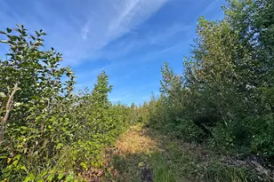 10745 Hwy 8, Floodwood, MN 55736 - Photo 74