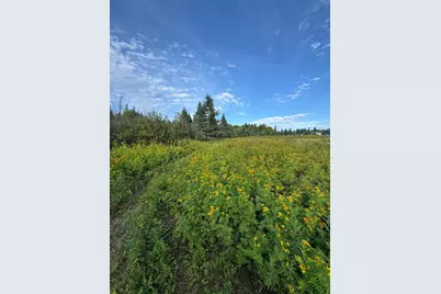 Tbd Gull Lake Loop Road, Hines, MN 56647 - Photo 2