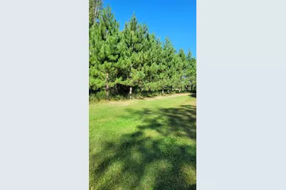 1393 Cottonwood Trail SW, Pine River, MN 56474 - Photo 2