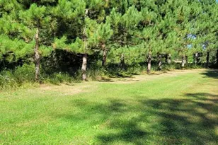 1393 Cottonwood Trail SW, Pine River, MN 56474 - Photo 2