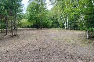 Lot 14 New Melahn Dr (Lot14), Lake George Township, MN 56458 - Photo 1
